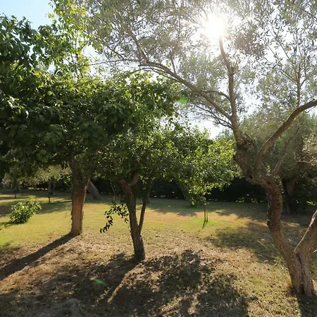 Argo 1 - Beachfront, Big Gardens, Location! * Pefkochori